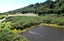 0 McLeods Road, Ross, Ross - Carousel 7