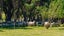 417 Tetley Brook Road, Seddon, Seddon - Carousel 25