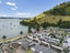 3 The Mall, Mount Maunganui, Mount Maunganui - Carousel 24