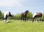 36F Farquharson Road, Hunua, Franklin, Auckland - Carousel 22