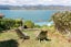102 Nevay Road, Karaka Bays, Wellington - Carousel 8