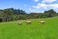 153 Mahoenui Valley Road, Coatesville, Albany - Carousel 21