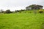 2212 Matawai Road, Te Karaka, Te Karaka - Carousel 12