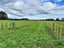 157 Motuiti Road, Foxton, Foxton - Carousel 1