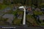 90A Bader Street, Bader, Hamilton, Waikato - Carousel 28