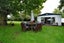 277 Matangi Road, Matangi, Hamilton - Carousel 4