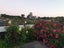 86 San Marino Drive West, Henderson, Auckland - Carousel 14