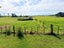 2160 Awhitu Road, Pollok, Pollok - Carousel 3