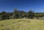 3901F Far North Road, Pukenui - Carousel 2