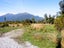 0 Bruce Bay, Bruce Bay, Haast - Carousel 6