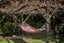 236 Alma Road, Westport - Carousel 22