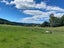 1669 Tadmor-Glenhope Road, Tapawera, Wakefield - Carousel 12