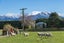 17 Pudding Hill Road, Methven, Ashburton - Carousel 29