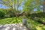 90A Ngataringa Road, Devonport, Auckland - Carousel 29
