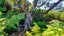 0 Wilson Way, Hihi, Mangonui - Carousel 3