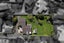 17 The Ridgeway, Enner Glynn, Nelson - Carousel 6