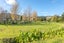 315A Woollams Avenue, Coromandel, Coromandel - Carousel 8