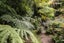 5 Broomlea Street, Wakari, Dunedin - Carousel 23