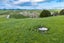 272 Huarau Road, Maungaturoto - Carousel 29
