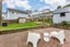 71 Herald Street, Berhampore, Wellington, Wellington - Carousel 12