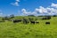 0 Hukerenui Road, Hukerenui, Hikurangi - Carousel 18