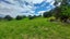 1366 Hukerenui Road, Hukerenui, Hikurangi - Carousel 33