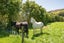 4B Kanuka Rise, Wakapuaka, Nelson - Carousel 9