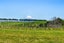 1017 Main North Road, Onaero, Waitara - Carousel 28