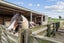 1375 Carrington Road, Hurworth - Carousel 29