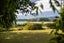 309 Plummers Point Road, Whakamarama, Western Bay Of Plenty, Bay Of Plenty - Carousel 7