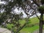 7 Ongutukura Way, Ōakura, Hikurangi - Carousel 2