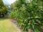 6 Campbell Lane, Kerikeri, Kerikeri - Carousel 22