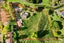 2 Furn Park Lane, Tauriko, Tauranga, Bay Of Plenty - Carousel 26