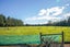279 School Road, West Eyreton, West Eyreton - Carousel 27