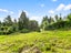 250A Beach Road, Campbells Bay, Auckland - Carousel 13