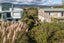 241 Manly Street, Paraparaumu Beach, Paraparaumu - Carousel 36