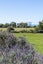 10 Charlton Road, Te Awanga, Te Awanga - Carousel 33