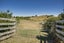133B Avery Road, Eskdale, Napier - Carousel 7
