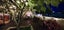 21 Edinburgh Street, Newton, Auckland City, Auckland - Carousel 27
