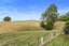 407 Mangati Road, Puketotara, Pirongia - Carousel 24