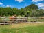 597D Omanawa Road, Omanawa, Tauranga - Carousel 29