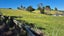 375 Whitford Road, Whitford, Howick - Carousel 10