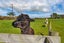 376 Monmouth Road, Pembroke - Carousel 11