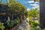 9 Korari Grove , Redwoodtown, Redwoodtown - Carousel 14