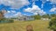 150 Hansens Line, Palmerston North - Carousel 1