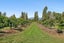 120 Patons Rock Road, Patons Rock, Tasman, Nelson / Tasman - Carousel 40