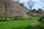 1039 Paradise Valley Road, Ngongotaha Valley - Carousel 38