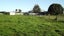 131 Pairatahi Road, Kaingaroa, Kaitaia - Carousel 4