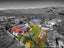 11 School Road, Riverlands, Blenheim - Carousel 31