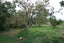 991 East Road, Toko, Stratford - Carousel 16
